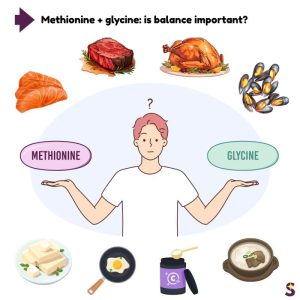 glisin metiyonin dengesi